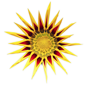 Title Junction LLC - Logo