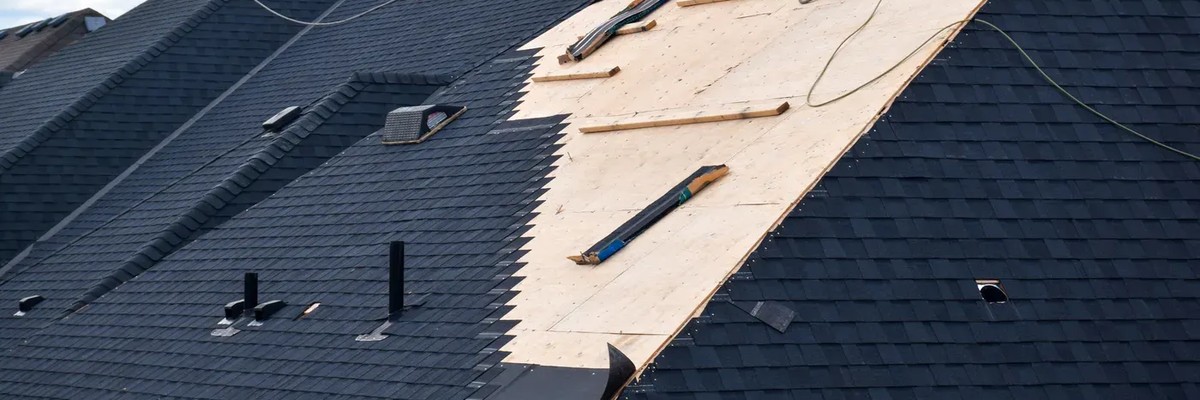 Roofer in Tampa - Business Photo