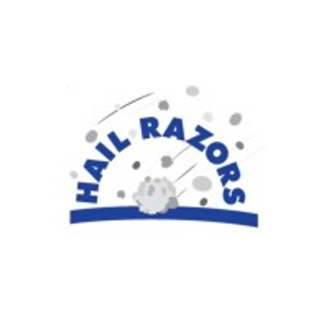 Hail Razors Paintless Dent Repair Specialist