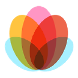 Luminous Skin Maui - Logo