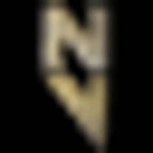 NV Nails - Logo
