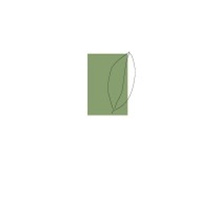 David Rolston Landscape Architects - Logo