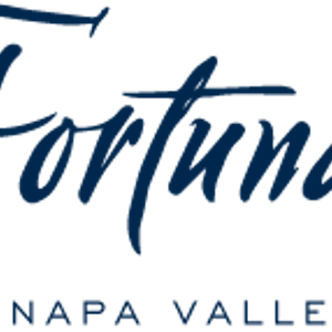 Fortunati Vineyards Private Wine Tasting Lounge Napa Valley