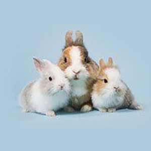 Aqualand Pets Plus