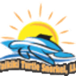 Waikiki Turtle Snorkel