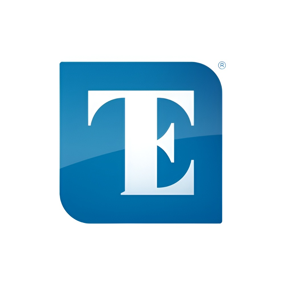 TEI Equity - Logo