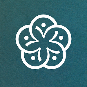 Options Medical Weight Loss Clinic - Logo
