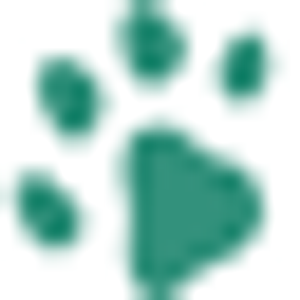 Paws pet boutique - Logo