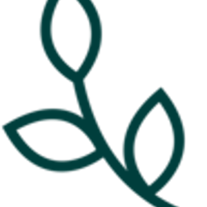 Running Wild Studio - Logo