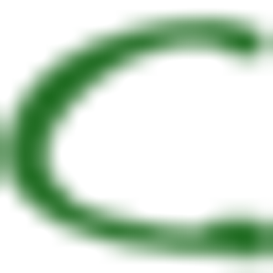 Chesapean Outdoors - Logo