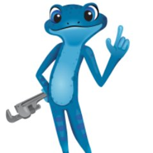 bluefrog Plumbing + Drain of Northwest Houston - Logo