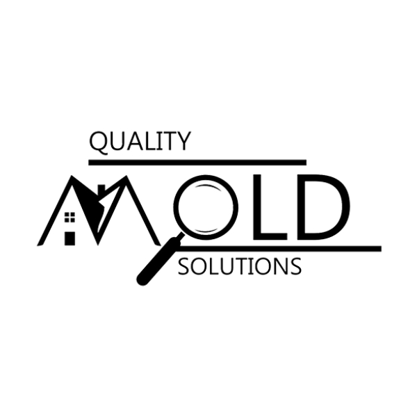 Quality Mold Solutions - Logo