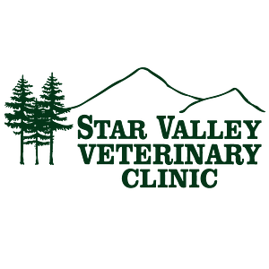 Star Valley Veterinary Clinic - Logo