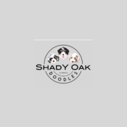 Shady Oak Doodles - Logo