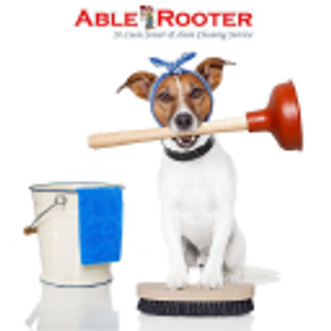 Able Rooter Plumbing & Drain Cleaning St. Louis - Logo