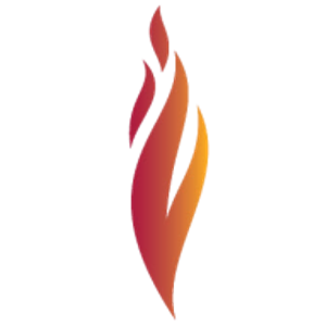 Ignite Health Optimization - Logo