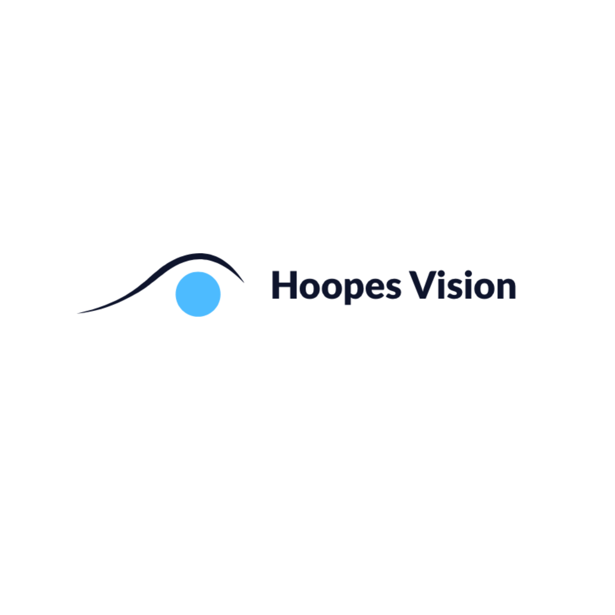 Hoopes Vision - Logo