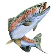 Bigwater's Guide Service - Logo