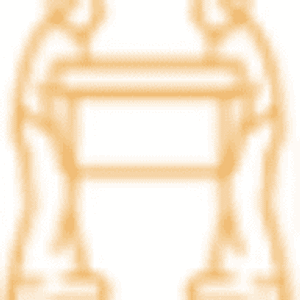Moving Company Guys - Dallas - Logo
