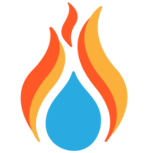 Flood & Fire Pros - Logo