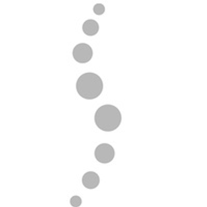Creekside Chiropractic Center, Inc - Logo