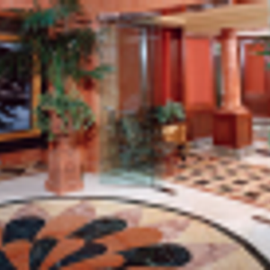 Tiger Tile - Logo