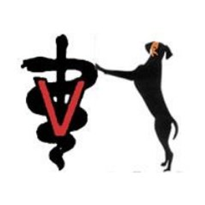 Chastain Veterinary Medical Group