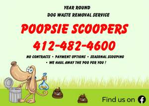 Poopsie Scoopers - Logo