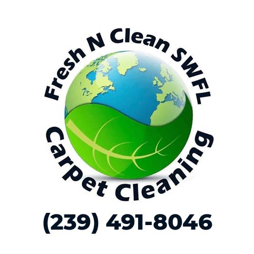 Fresh N Clean SWFL - Logo