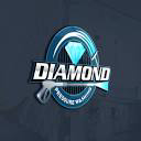 Diamond Pressure Washing and Auto Detailing - Logo