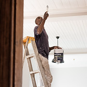 Pelican Painting, LLC - Logo
