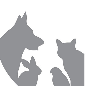 PAWSH at Humane Society of Southern Arizona - Logo