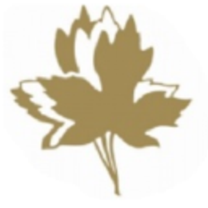 Maples Golf Packages - Logo