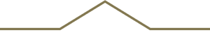 Kim Zander - Realtor at The Brokerage - Logo