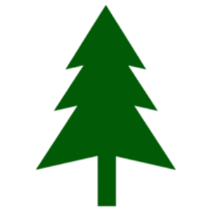 Evergreen Auto Glass