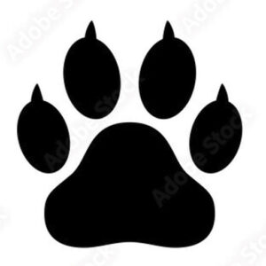 Bear Creek Towing LLC - Logo
