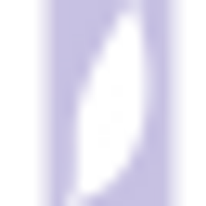 LivingBalance Counseling - Logo
