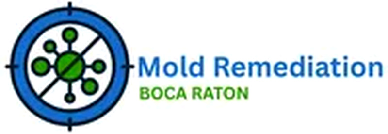 Best Mold Remediation Boca Raton - Logo