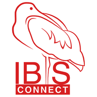 Ibis Connect, LLC - Logo