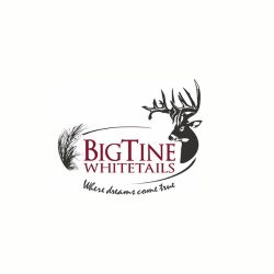 BigTine Whitetails - Logo