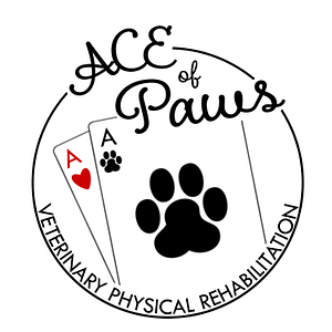 ACE of Paws - Logo