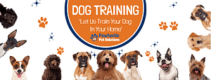 Pawtastic Pet Solutions - Cyndi Smasal, CPDT-KA - Logo