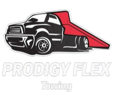 Prodigy Flex - Logo