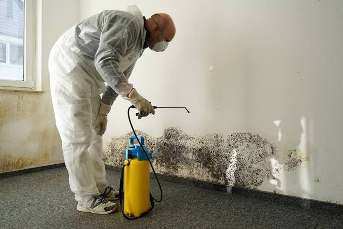 Best Mold Remediation Boca Raton - Business Photo