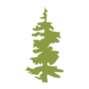 Lane County Circuit Court - Logo