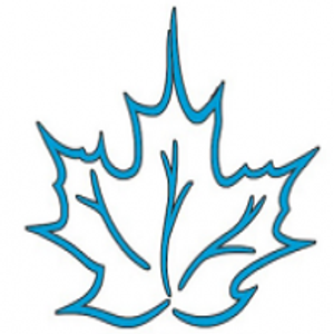 Blue Maple Masonry