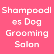 Shampoodles Dog Grooming Salon