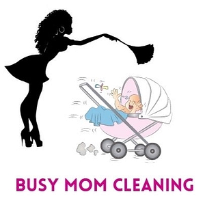 Busy Mom Cleaning - Logo