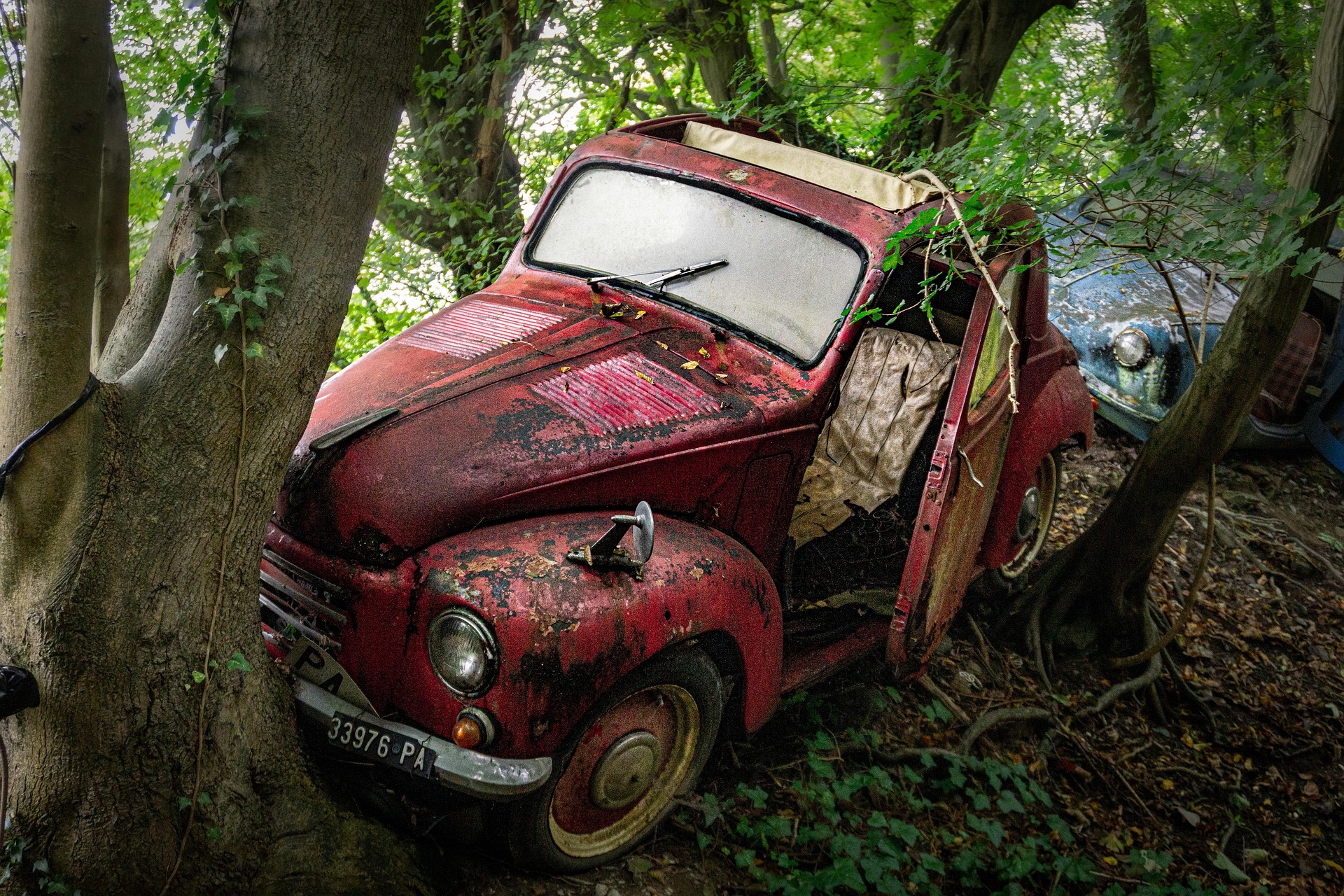 Fast Cash Junk Cars - Business Photo