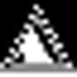 Triangle Electric Company - Logo